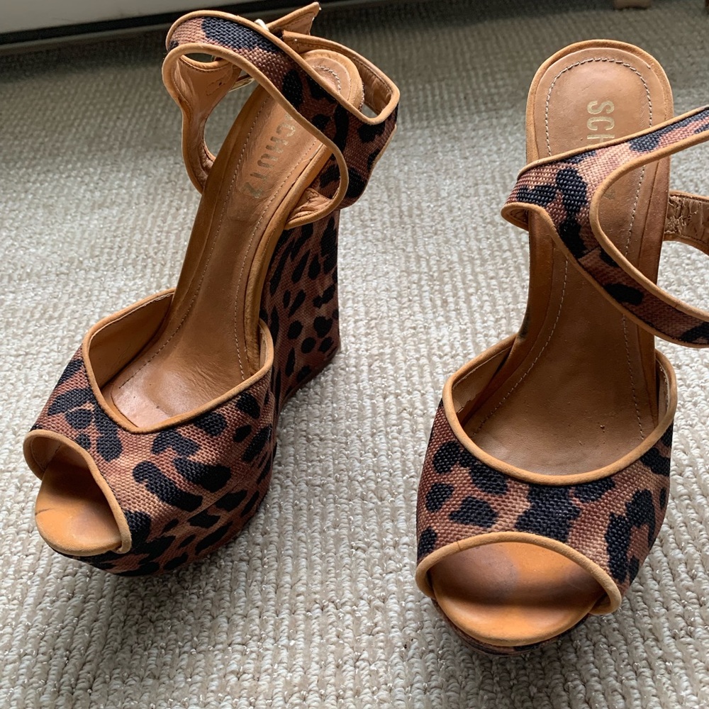Schultz Wedge